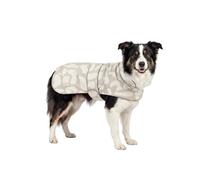 Larkson Imperméable pour Chien Beige Léo - Jonte - Manteau Pluie & Hiver pour Petit & Moyenne Chiens - Parapluie pour Chien - Colonne d'eau 10 000 mm - Réglable - Réfléchissant et Lumineux