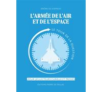 L'armée de l'air et de l'espace Le tour de la question - Jérôme de Lespinois - Pierre De Taillac - broché - Essai