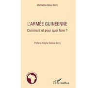 L'armée guinéenne: Comment et pour quoi faire ?