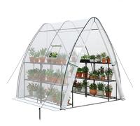 LARMNEE Serre à Tomates Voûtée, Bâche en PE, 2 Portes à Fermeture Éclair, 2 Fenêtres Latérales à Enrouleur, 180 x 180 x 200 cm, pour Fleurs, Légumes, Plantes, Balcon, Jardin, Terrasse, Blanc EWT73GH02
