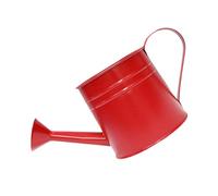 L'arrosage en métal peut être élégant bouteille de gaz en métal Vase de plante unique pour la maison bureau jardin décors vintage