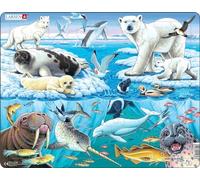 Larsen FH11 Animaux Sauvages sur et Autour d'un Iceberg Arctique, Puzzle Cadre avec de 75 pièces