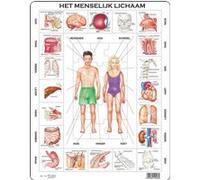 Larsen puzzle Puzzle Corps Maxihumain 35 pièces Multicolore G