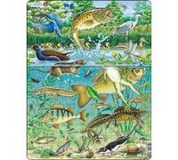 Larsen Puzzle cadre – Écosystème européen des étangs d'eau – 50 pièces