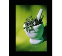 L'Art de Guérir avec Hymenocardia Acida : Recettes et Remèdes Ancestraux.: Les Secrets Naturels d’une Plante Riche en Vertus Médicinales