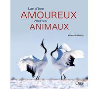 L'art d'être amoureux chez les animaux