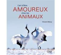 L'art d'être amoureux chez les animaux Vincent Albouy (Auteur)