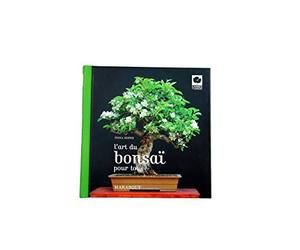 L'art du bonsaï pour tous