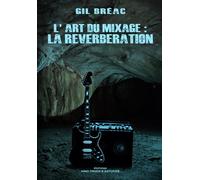 L'art du mixage : La réverbération