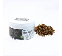 Larva Black Soldier Fly Plantasebuario 225 ML Aliment à Base d'insectes 100% Naturel pour Poissons, Oiseaux et Reptiles Riche en protéines et vitamines