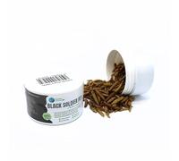 Larva Black Soldier Fly Plantasebulaire 100 ML Aliment à Base d'insectes 100% Naturel pour Poissons, Oiseaux et Reptiles Riche en protéines et vitamines