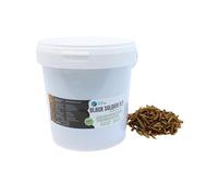 Larva Black Soldier Fly Plantasebulaire 1000 ML Aliment à Base d'insectes 100% Naturel pour Poissons, Oiseaux et Reptiles Riche en protéines et vitamines