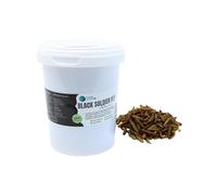 Larva Black Soldier Fly Plantasebulaire 500 ML Aliment à Base d'insectes 100% Naturel pour Poissons, Oiseaux et Reptiles Riche en protéines et vitamines