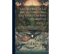Las Figuras De La Biblia, Ó Historia Del Viejo Y Nuevo Testamento: Descrita En Doscientos Sesenta Y Siete Pasages De La Sagrada Biblia, Con Reflexione