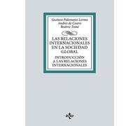Las relaciones internacionales en la sociedad global: Introducción a las Relaciones Internacionales