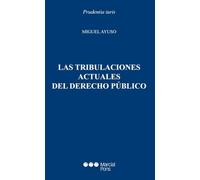 Las tribulaciones actuales del Derecho público