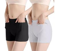 LaseVe 2 Packs sous-vêtements Femme Coton Culotte Poche Cachée avec Fermeture Éclair sous-vêtements Cachette Voyage Slip (Color : 2 Pack, Size : L)