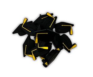 Lashicorn Lot de 12 bonnets de remise de diplôme avec pompon en silicone 2024 | Lot de 12 | 1,2 x 17,8 cm pour fabrication de porte-clés, stylo perlé, lycée, Silicone, Sans pierre précieuse