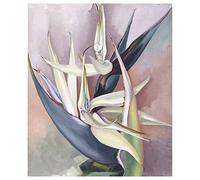 Lasite Georgia O'keeffe《Oiseau blanc》Tableaux Affiche Decoration Murale Salon Moderne Tableau Impression sur Toile Deco Maison Salon Chambre Décor(40x48cm) 16x19inch,Sans Cadre
