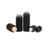 Lasitech Jeu De Vis À Douille Hexagonale en Acier Noir Grade12.9, M2 .5 M3, Pointe Laiton, Chien, Boulon Convexe sans Tête/arrêt, 10 Pièces(M2.5(D 1.6 E 0.8mm),4mm-10pcs)