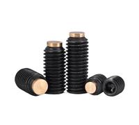 Lasitech Jeu De Vis À Douille Hexagonale en Acier Noir Grade12.9, M4 M3, Pointe Laiton, Chien, Boulon Convexe sans Tête/arrêt, 5 10 Pièces(M3(D 2 E 1mm),6mm-10pcs)