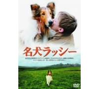 Lassie [05/E,J/Dd5.1/S:E,J] [Import allemand]
