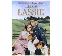 Il Figlio Di Lassie – Warner Bros. – Import