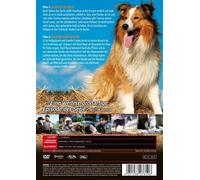 LASSIE IST DIE BESTE - GARY GRAY,PAUL KELLY,KEVIN SORBO DVD NEUF
