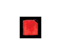 Salvia Palth – Last Chance to See – CD