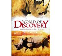 Last Charge of The Rhino