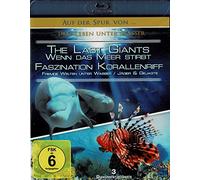 Last Giants - Wenn das Meer stirbt / Faszination Korallenriff