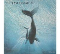 LAST LEVIATHAN 12" SINGLE UK DENVER 1978 2 TRACK B/W IF ONLY...IS TOO LATE (DMC1019) PIC SLEEVE