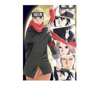 Last-Naruto Movie- [Import allemand]