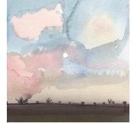 Last Night In America (Lp)