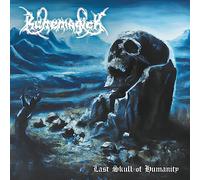 Last Skull of Humanity