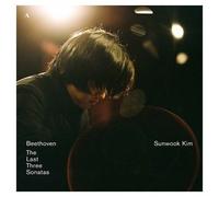 Last Three Sonatas [Cd]