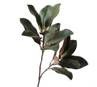 Lastdaytime Feuilles de magnolia artificielles sur des branches flexibles avec fil intégré, conçues pour une utilisation en décoration d'intérieur, offrant la possibilité de façonner et de