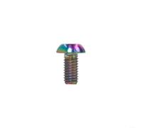 Lastdaytime TC4 Lot de 12 boulons de vélo à disque pour pièces de rechange d'ancrage de rotor, Torx M5 x 10 mm, boulons de frein, pour vis de montage de rotor, pour disque à 6 boulons, pour rotors (12