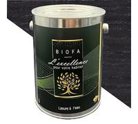 Lasure à l'eau Biofa 1L - pour bois intérieur et extérieur - Faible en COV (Noir)