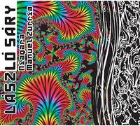 Laszlo Sary - Niagara