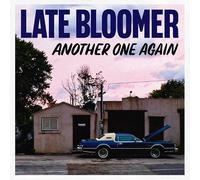 Late Bloomer - Another One Again