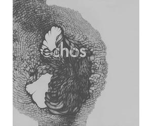 Late Night Alumni - Echos