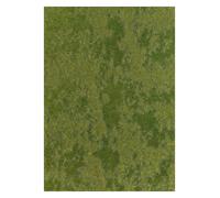 Late Spring/early Summer Grass - Fibre mat 297x210mm