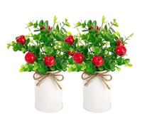 Latebebebe 2pcs Plantes de Fraises artificielles, Fausses Fraises en Pot Eucalyptus avec Pot en métal, Bouquet de Fruits artificiels pour Table maître la Ferme la Ferme décor Fausses
