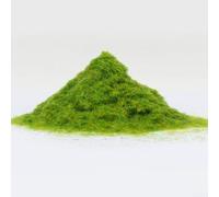 LatoYard Poudre d'herbe statique de 3 mm pour modélisme ferroviaire, pour diorama, jeux de guerre, couverture de sol, 500 g, jaune-vert (500 g)
