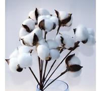 LATRAT Lot de 10 branches de fleurs artificielles décoratives en coton naturel pour balcon, maison, table, composition florale