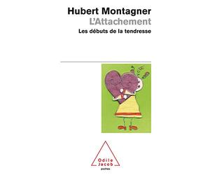 L'Attachement: Les débuts de la tendresse