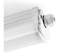 Latte de lumière LED 1200 mm 2430 lm 4000 K 22 W IP65