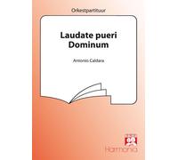 Laudate Pueri Dominum / Conducteur