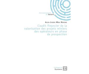 L'audit financier de la valorisation des projets miniers des opérateurs en phase de prospection Ou comment fiabiliser l'incertitude - Alex-Judex Mba Ndong - Publibook - broché - Guide